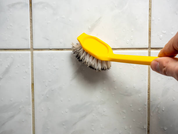 Best Same-Day Mold Removal  in Hoschton, GA