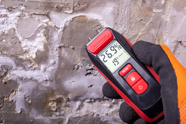 Mold Testing and Removal in Hoschton, GA